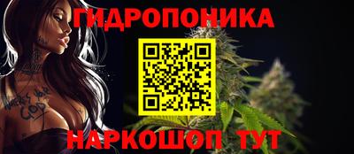 амфетамин Гатчина