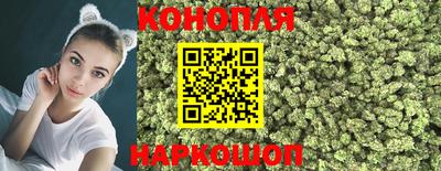 тгк Гай