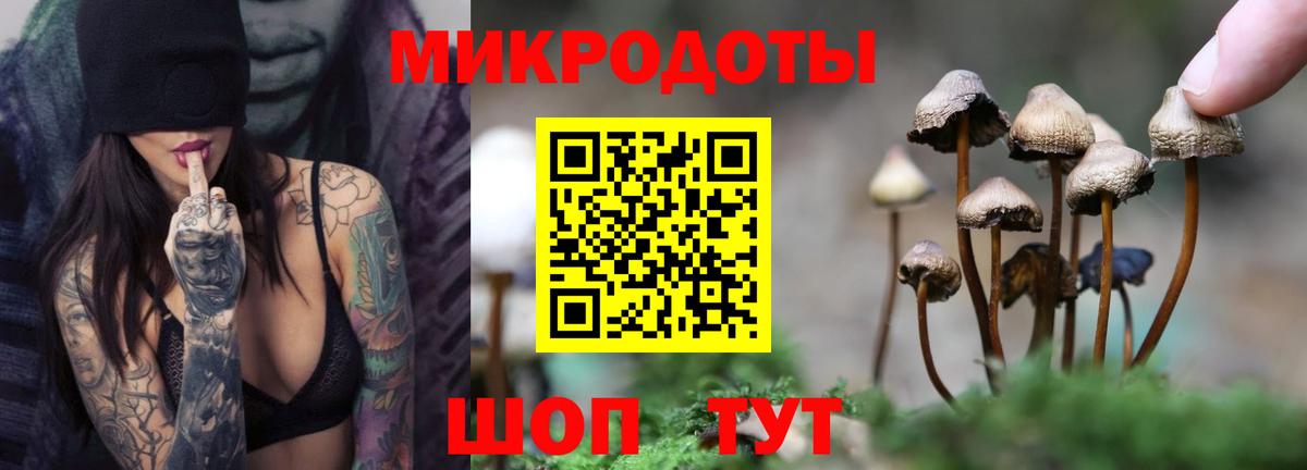 Псилоцибиновые грибы мицелий Ялта