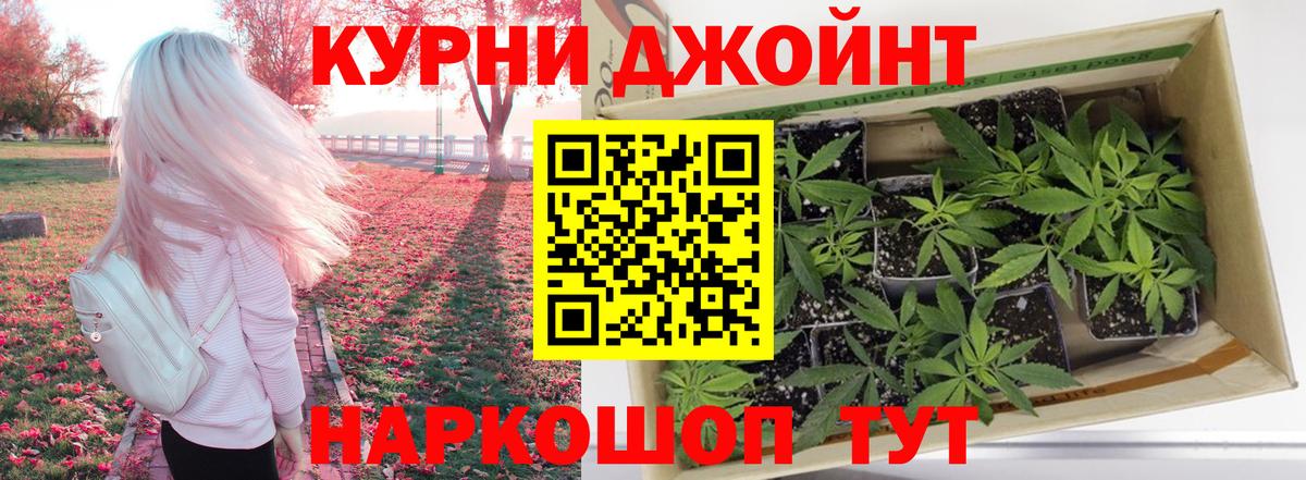 Бошки Шишки сатива Ялта